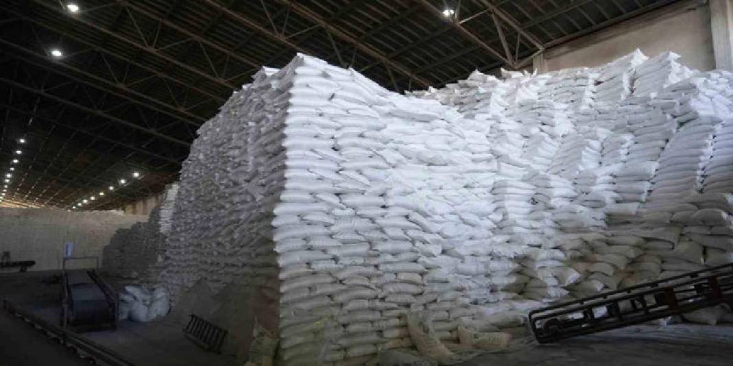 56 köyden 1500 üreticinin emeği! 320 bin ton üretimin 1,7 milyar TL katkı sağlaması bekleniyor! 5